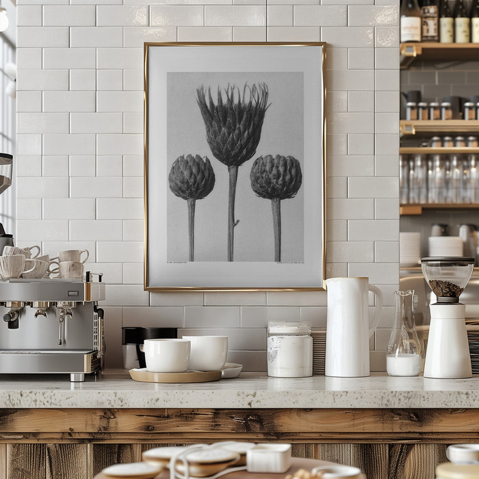 Serratula Nudicaulis Framed Art Modern Wall Decor