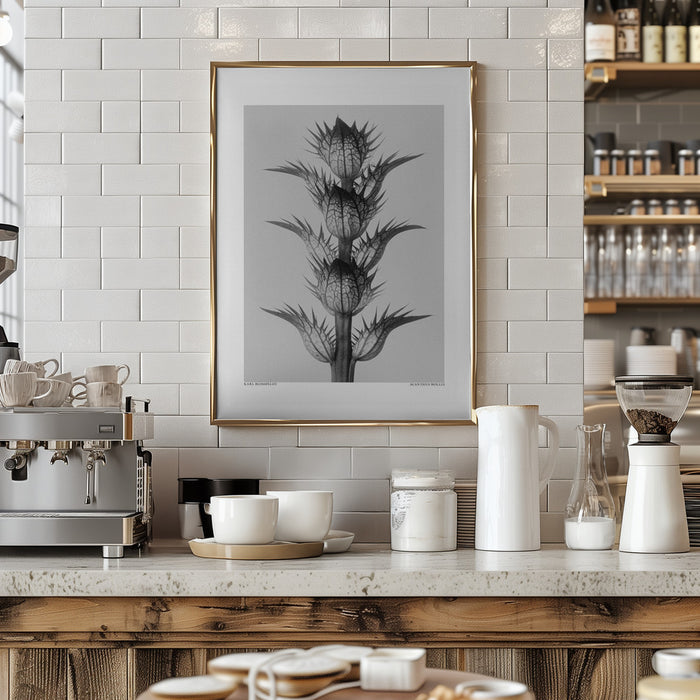 Acanthus mollis Framed Art Modern Wall Decor