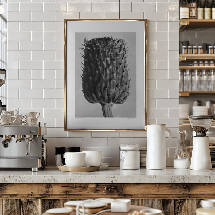 Cirsium Canum (Thistle) Framed Art Modern Wall Decor