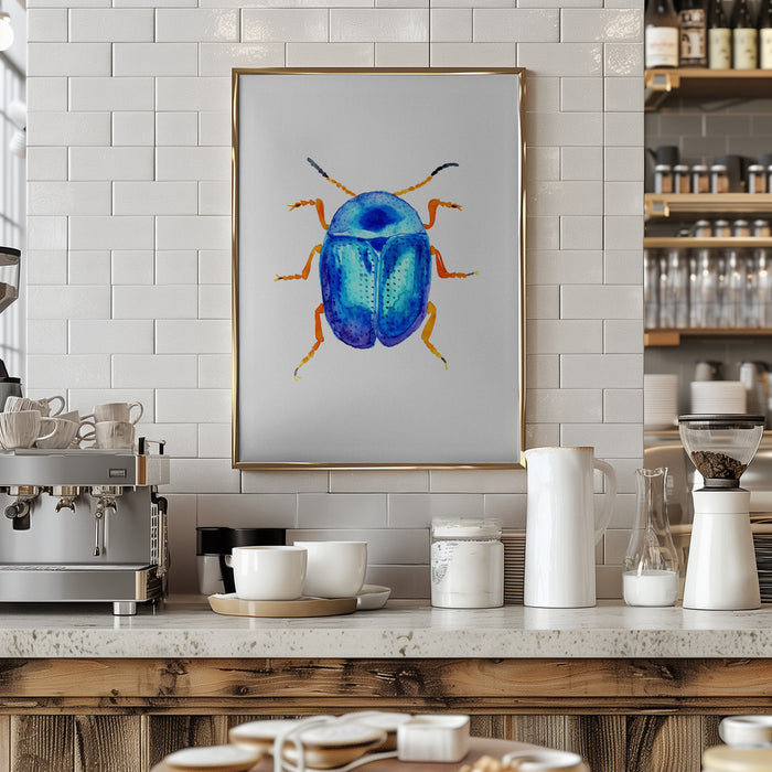 Blue leaf beetle or Colaphus sophiae Framed Art Wall Decor