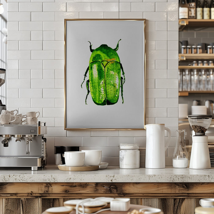 Green June beetle or Cotinis nitida Framed Art Wall Decor