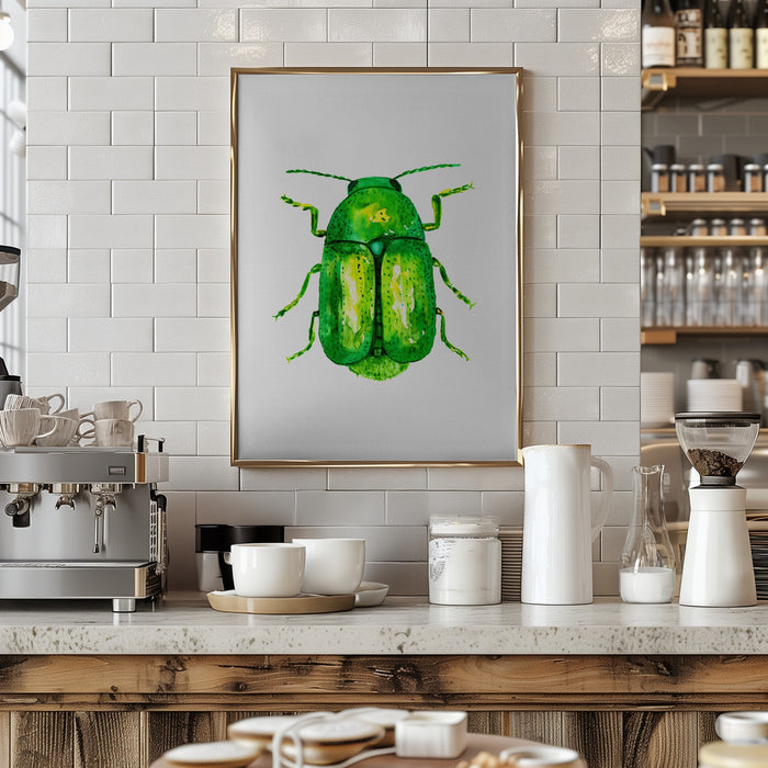 Cylindrical leaf beetle or Cryptocephalus sericeus Framed Art Wall Decor