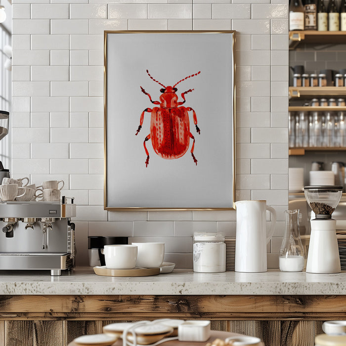 Onion beetle or Lilioceris merdigera Framed Art Wall Decor