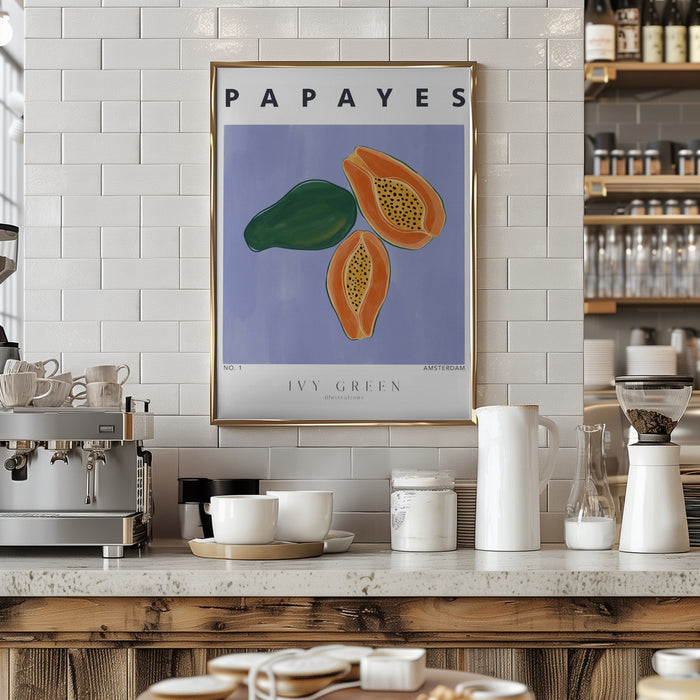 Papayes Framed Art Modern Wall Decor