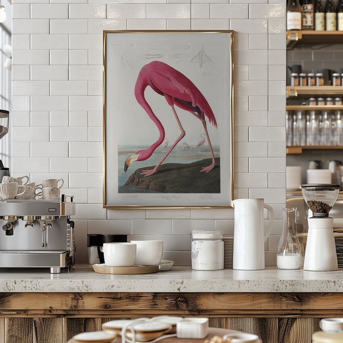 Pink Flamingo From Birds of America (1827) Framed Art Wall Decor