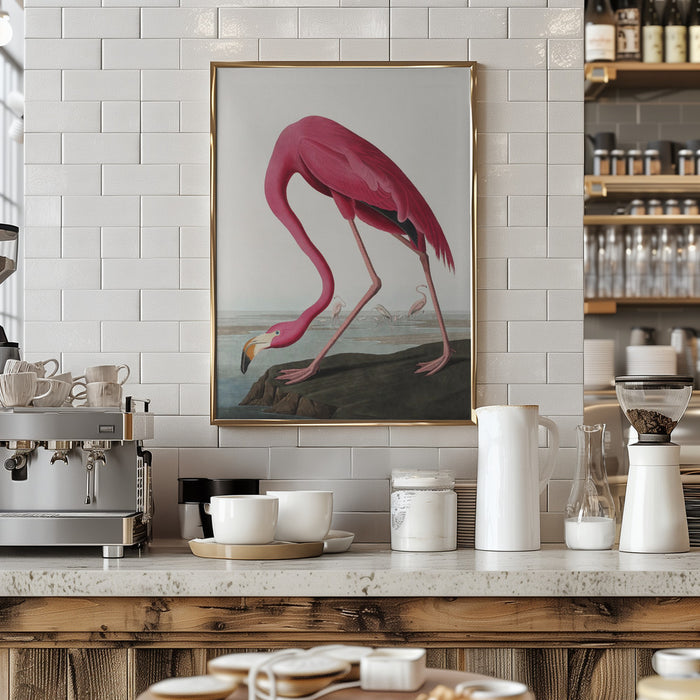 Pink Flamingo Ii From Birds of America (1827) Framed Art Modern Wall Decor