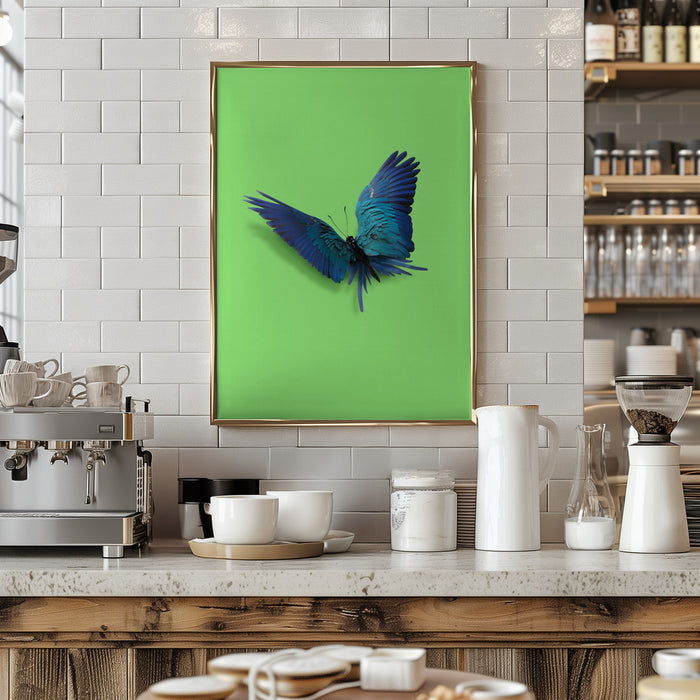 Parrot Butterfly Framed Art Modern Wall Decor