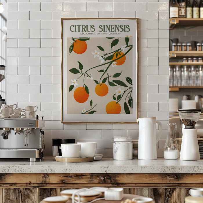 Citrus Framed Art Modern Wall Decor