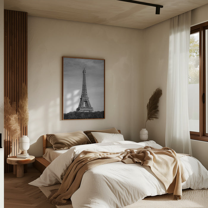 Eiffel Tower - Tour Eiffel Framed Art Modern Wall Decor