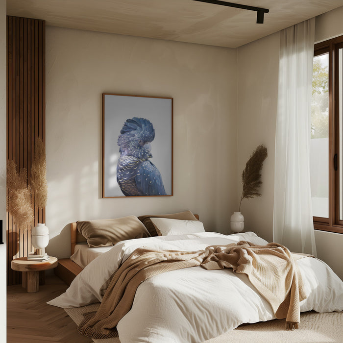 Black Cockatoo Framed Art Wall Decor