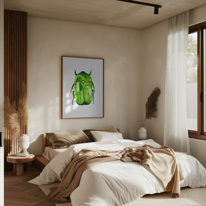 Green June beetle or Cotinis nitida Framed Art Wall Decor