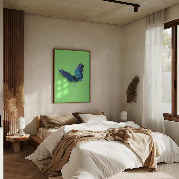 Parrot Butterfly Framed Art Modern Wall Decor