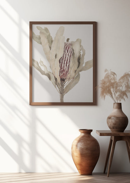 Banksia Framed Art Modern Wall Decor