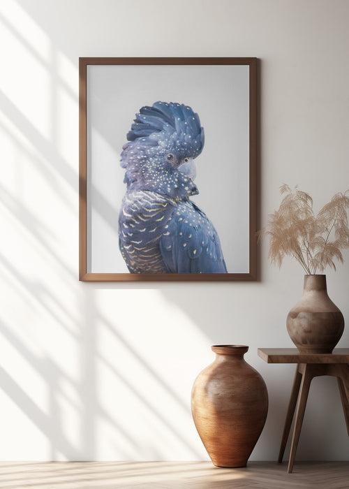 Black Cockatoo Framed Art Wall Decor