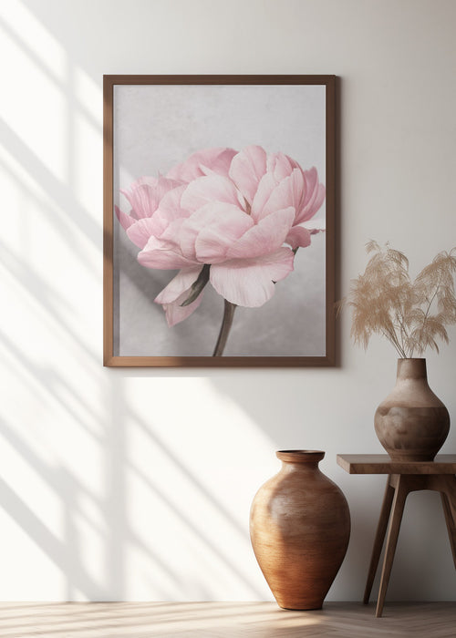 Peony Framed Art Wall Decor