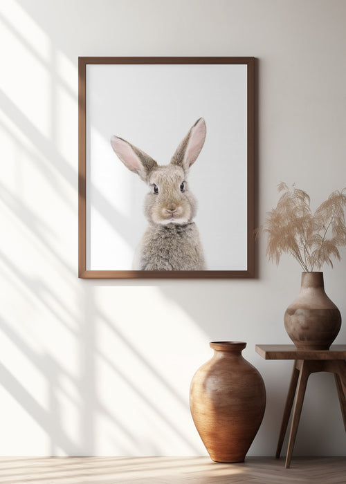 Baby Rabbit Framed Art Wall Decor