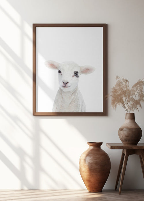 Baby Lamb Framed Art Modern Wall Decor