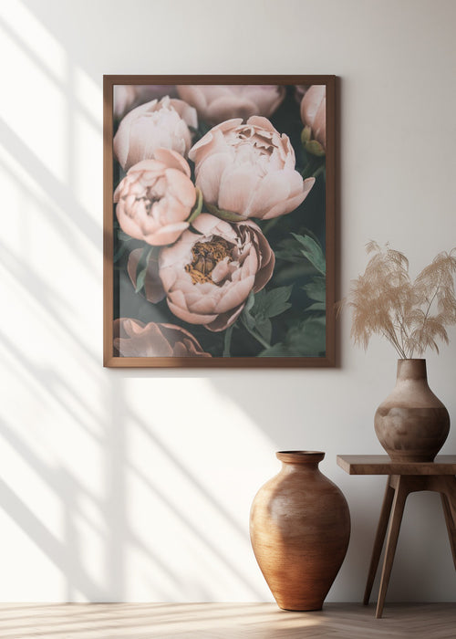 Coral Peonies Framed Art Modern Wall Decor