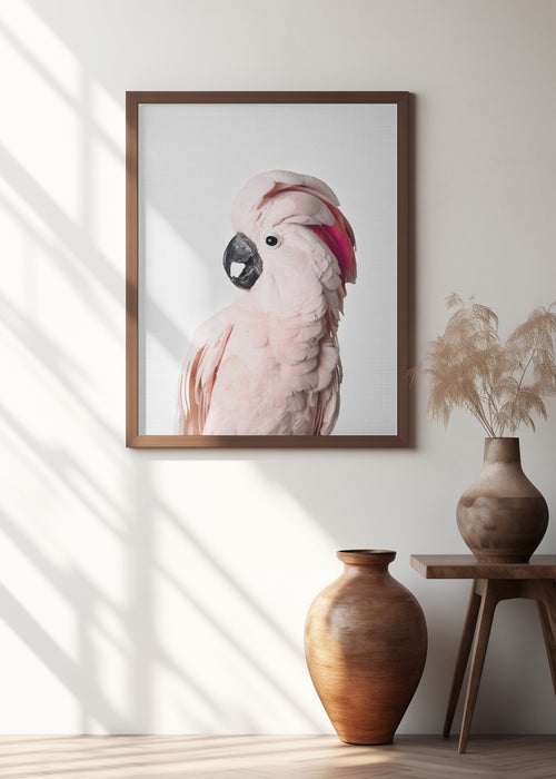 Pink Cockatoo Framed Art Modern Wall Decor