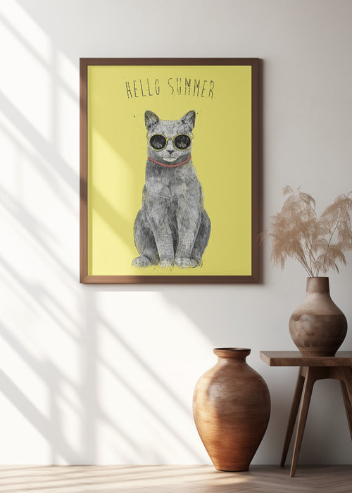 Hello Summer Framed Art Wall Decor