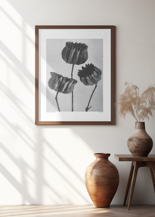 Abutilon (Lime Mallow Framed Art Modern Wall Decor