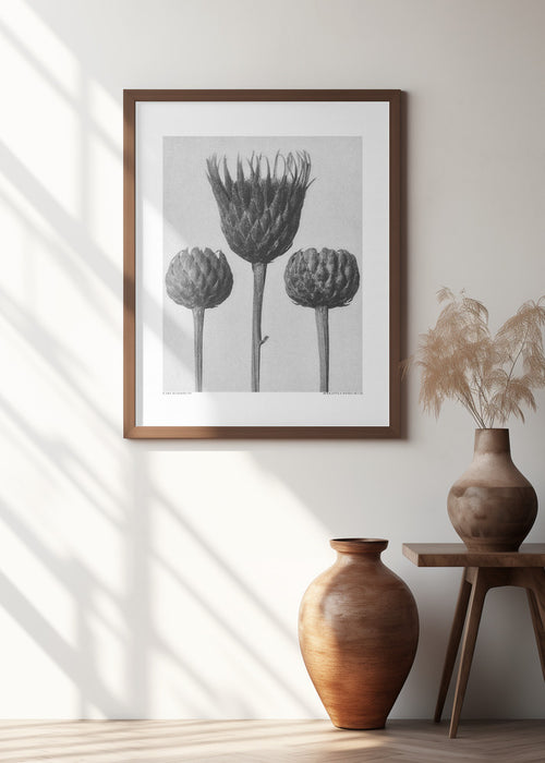 Serratula Nudicaulis Framed Art Modern Wall Decor