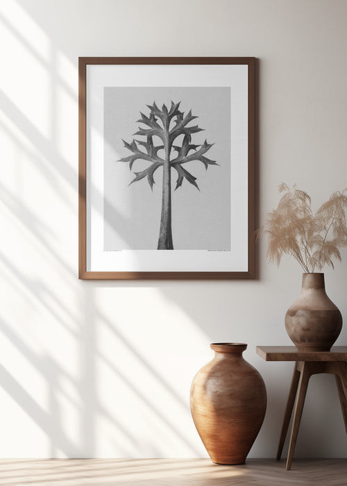 Eryngium Bourgatii Framed Art Modern Wall Decor