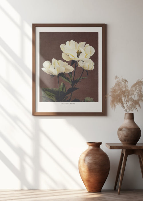 Hærdaceous Peony Framed Art Modern Wall Decor