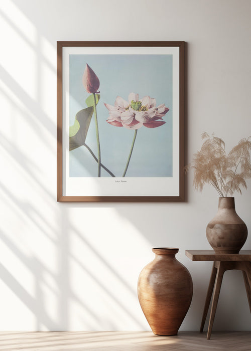 Lotus Flowers Framed Art Modern Wall Decor