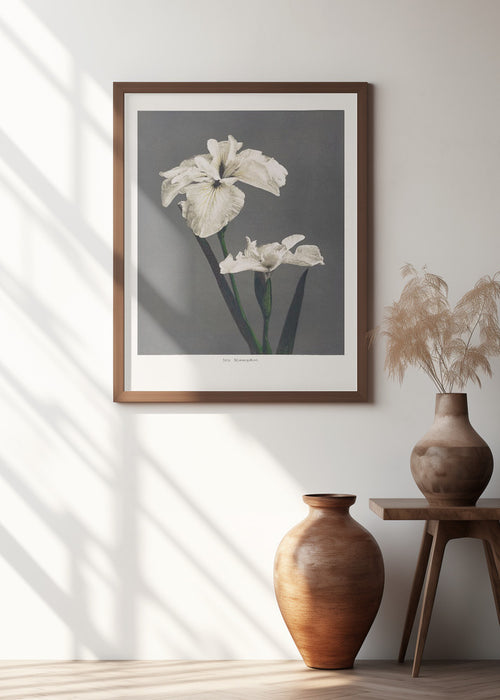 Iris Kæmpferi Framed Art Modern Wall Decor