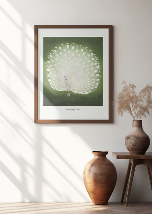 Peacock - Wide Framed Art Wall Decor