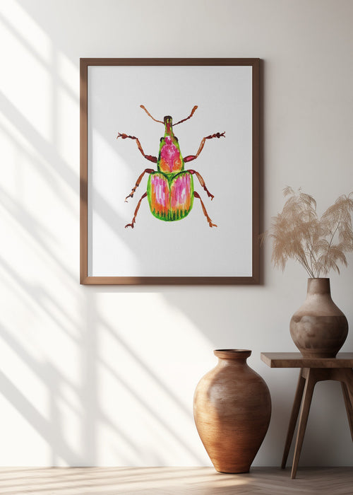 Apricot weevil or Epirhynchites auratus Framed Art Wall Decor