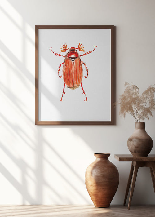 Forest cockchafer or Melolontha hippocastani Framed Art Wall Decor