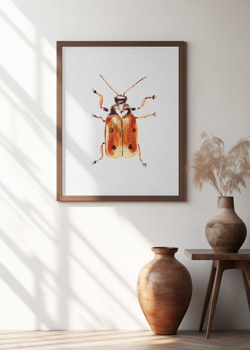 Another leaf beetle the Cryptocephalus cordiger Framed Art Wall Decor