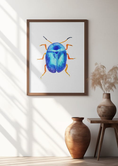 Blue leaf beetle or Colaphus sophiae Framed Art Wall Decor