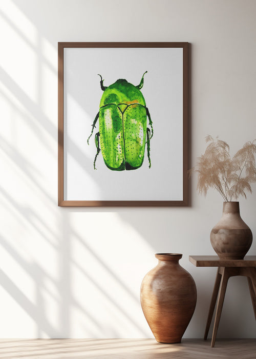 Green June beetle or Cotinis nitida Framed Art Wall Decor