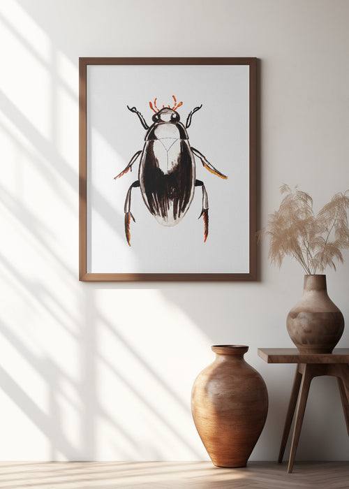 Water scavenger beetle or Hydrophilus aterrimus Framed Art Wall Decor