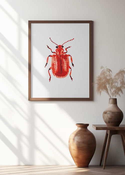 Onion beetle or Lilioceris merdigera Framed Art Wall Decor