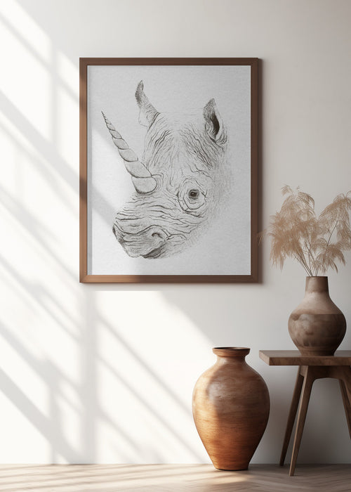 Rhinoplasty Framed Art Wall Decor