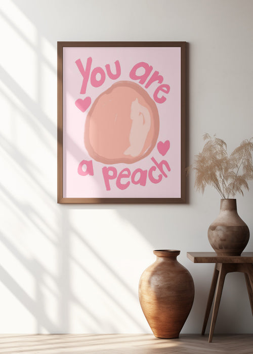 Peach Framed Art Modern Wall Decor