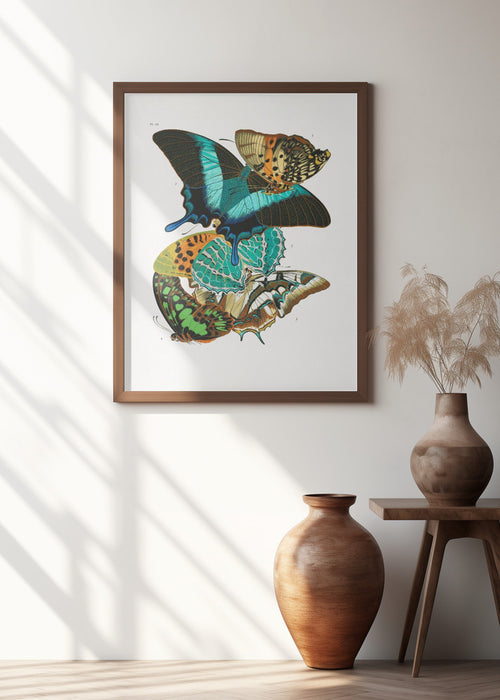 Butterflies 5 Framed Art Wall Decor