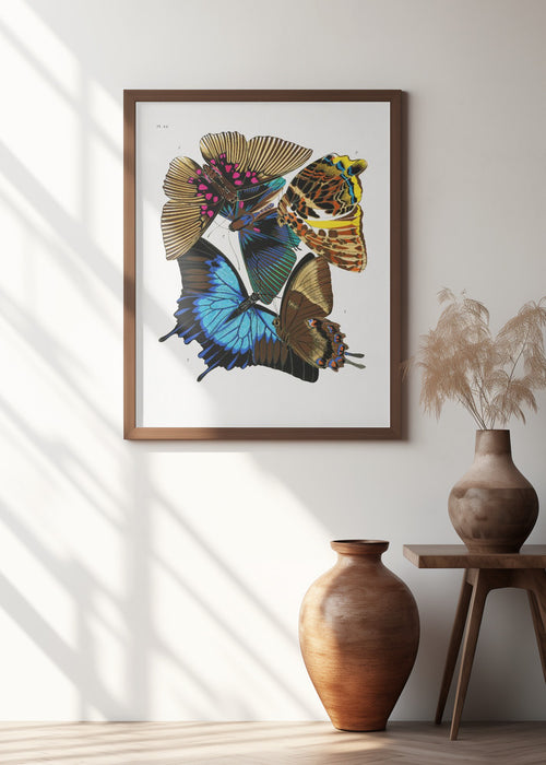 Butterflies 4 Framed Art Modern Wall Decor