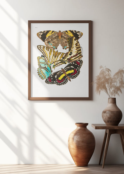 Butterflies 10 Framed Art Wall Decor