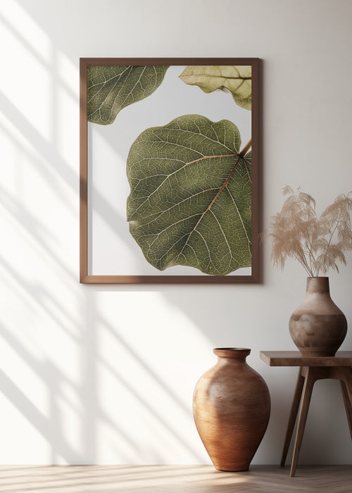 Abutifolia No2 Framed Art Wall Decor