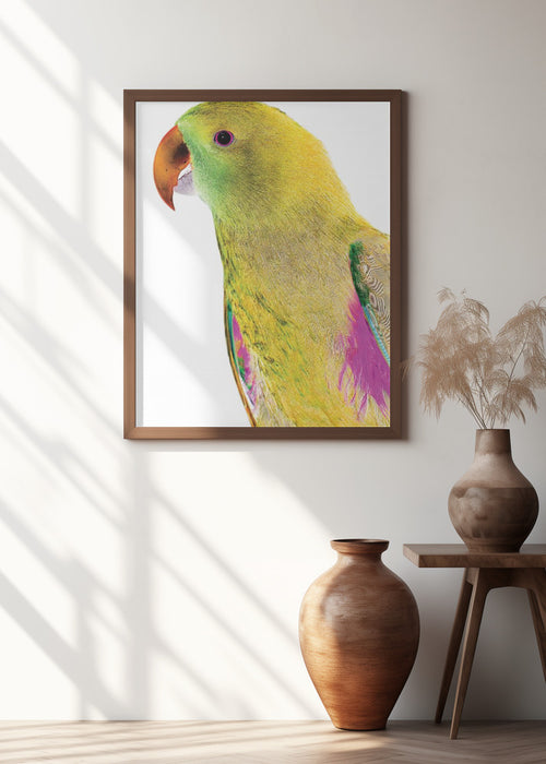 Polly Framed Art Wall Decor