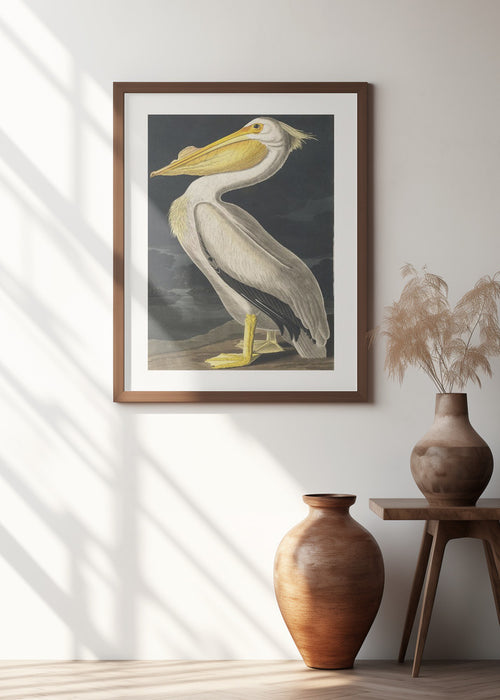 American White Pelican From Birds of America (1827) Framed Art Wall Decor