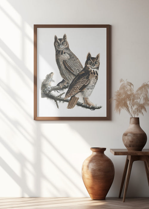 Great Horned Owl From Birds of America (1827) Framed Art Wall Decor