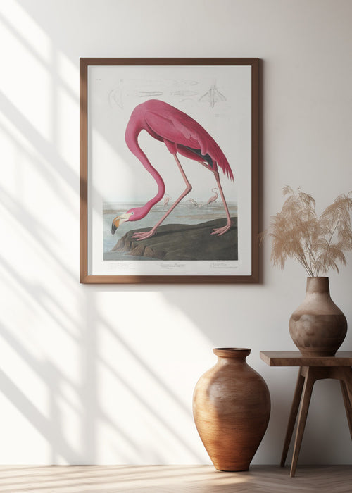 Pink Flamingo From Birds of America (1827) Framed Art Wall Decor