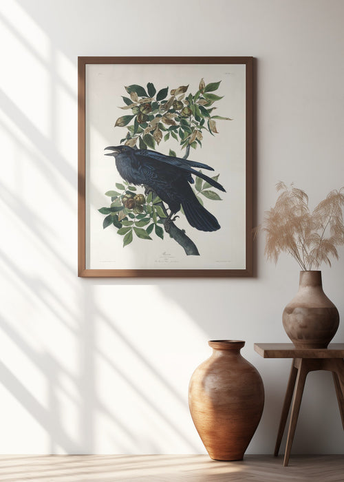 Raven From Birds of America (1827) Framed Art Wall Decor