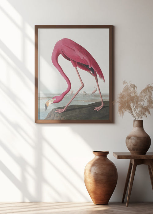 Pink Flamingo Ii From Birds of America (1827) Framed Art Modern Wall Decor